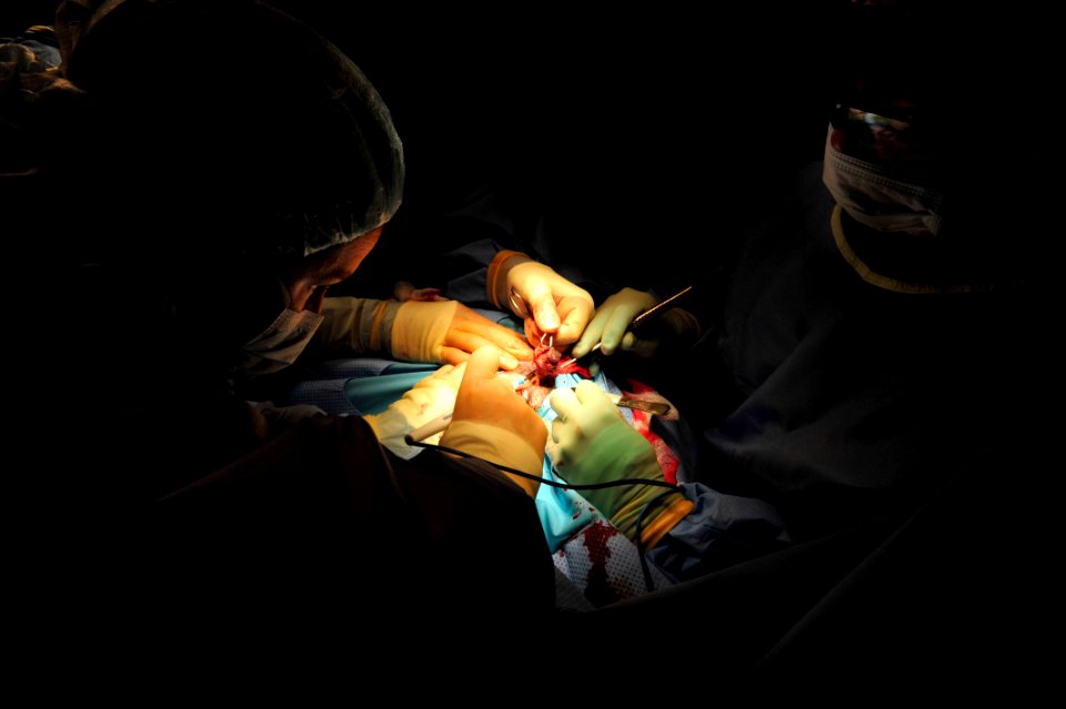 K-9 expeditionary medical surgery 141115-N-RY232-248