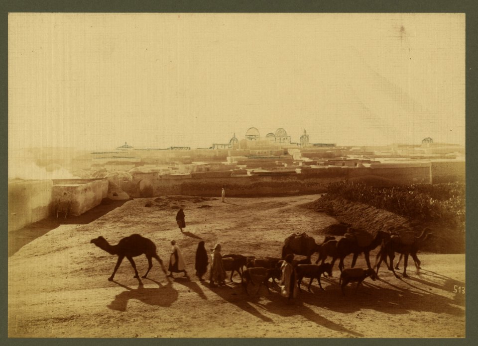 Kairouan. Scene from outside the walls LCCN2003690044