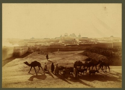 Kairouan. Scene from outside the walls LCCN2003690044
