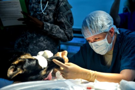 K9 surgery 140402-N-LE393-148