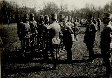 Kaiser Karl I. besucht die Armeegruppe Böhm-Ermolli in Busk (BildID 15552541)
