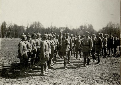 Kaiser Karl I. besucht die Armeegruppe Böhm-Ermolli in Busk (BildID 15552569)