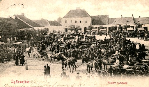 Jędrzejów. Rynek, pierzeja południowo-zachodnia, jarmark, 1903