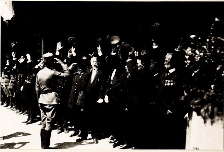 Kaiser Karl I. und Kaiserin Zita auf der letzten Station in Bregenz, während der Frontreise Kaiser Karls des I. vom 1. Juni 1917 bis zum 6. Juni 1917 an die Isonzofront, Istrien, Kärnten und Vorarlber (BildID 15565541)
