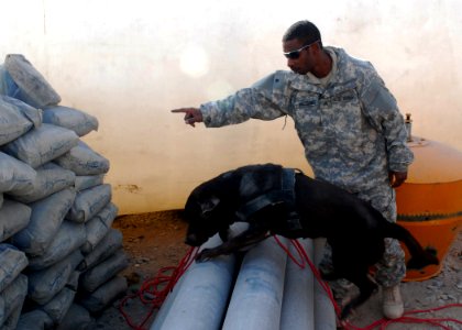 K-9 unit searches for IEDs DVIDS357326