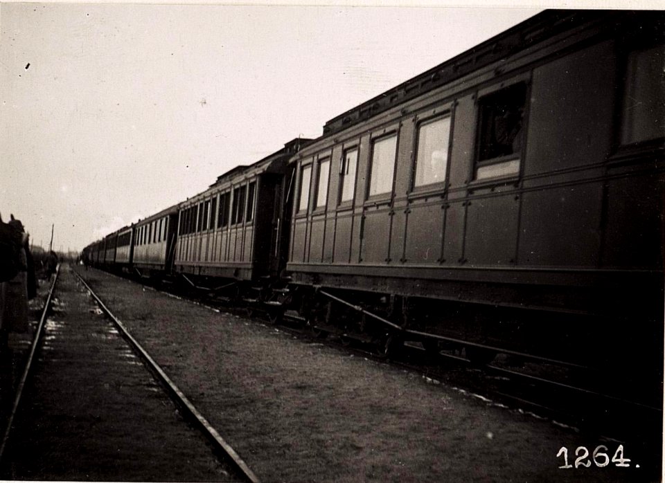 Kaiser Karl I.in Lubitow. (7-XII.1917.) (BildID 15711967)