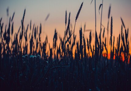Outdoors dawn rural