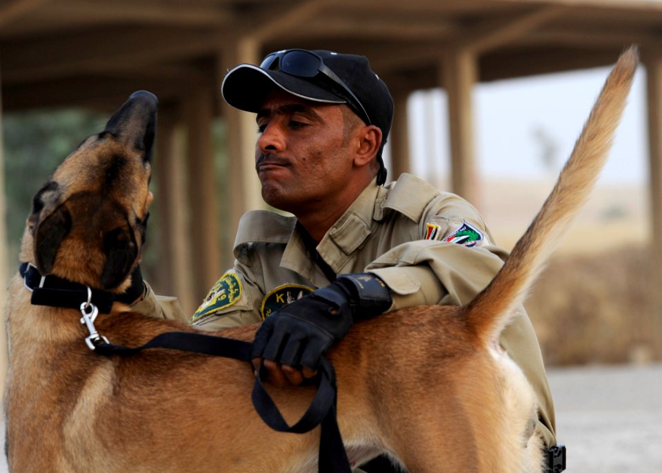 K9 Training DVIDS193684