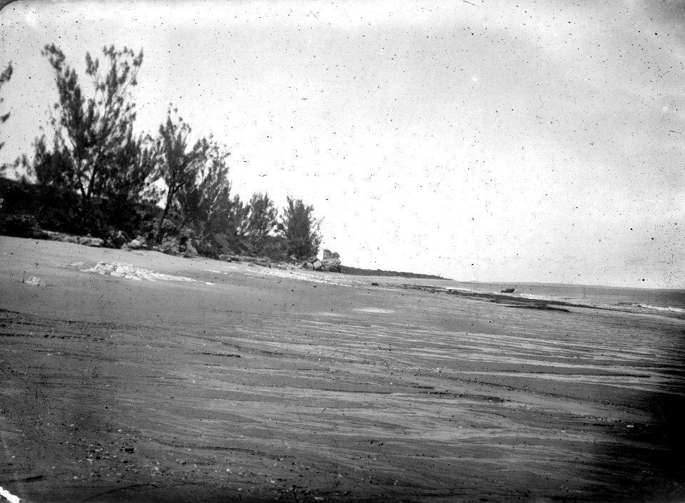 Kal stensklippor med casuarinabuskar. Datum, 1907 Ort, Amborovy, Madagaskar. Amborovy - SMVK - 021844