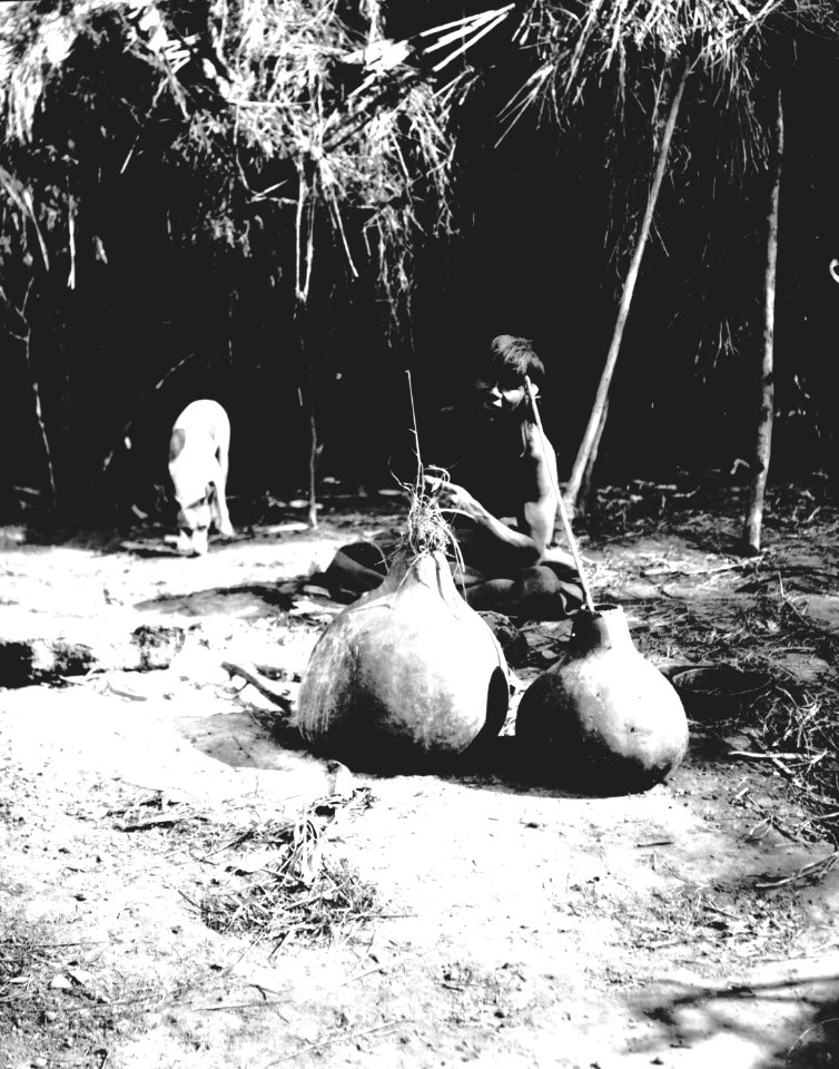 Kalebasser med algarroboöl. Rio Pilcomayo, El Gran Chaco, Gran Chaco. Bolivia - SMVK - 004673