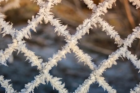 Iced hoarfrost eiskristalle photo