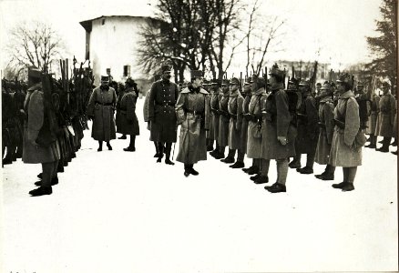 Kaiser Karl I,, Besuch in Tirol, Inspizierung der Truppe in Pergine (BildID 15415316)