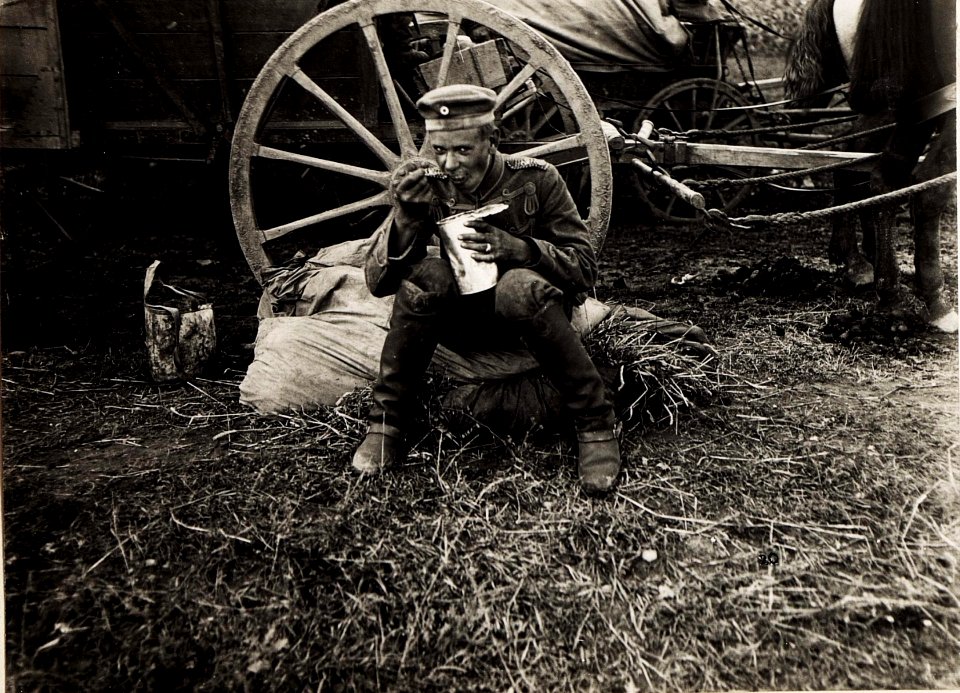 Kaiser Karl I. im Raum Snjatin am 29.7.1917 unmittelbar nach der erfolgreichen Gegenoffensive in Galizien (BildID 15566620)