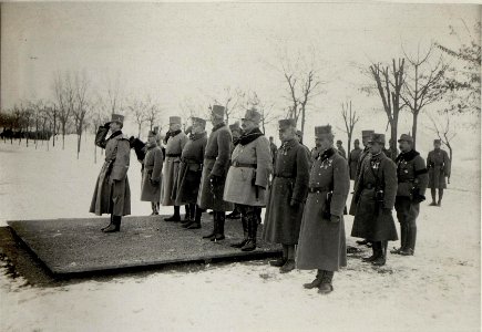 Kaiser Karl I. in Levico, 17.1.1917 (BildID 15549782)