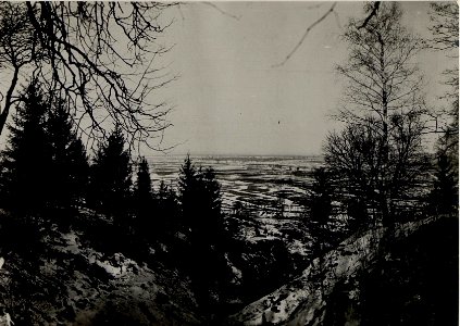 Kampffeld des I.R.72, beim Nida Uebergang rückw.Sytnoki. (BildID 15539453)