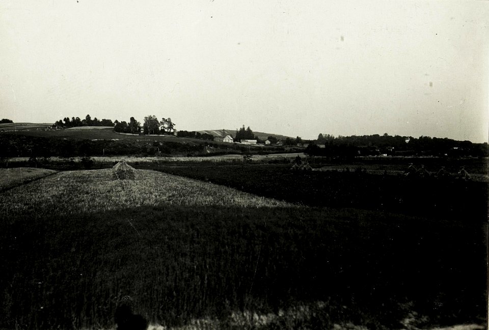 Kampfgelände bei Bortnicki. (BildID 15433246)