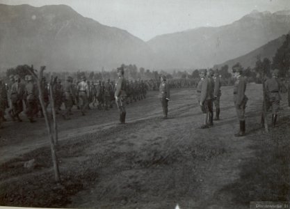 Kampftruppen defilieren vor Erzherzog Joesf (BildID 15644117)