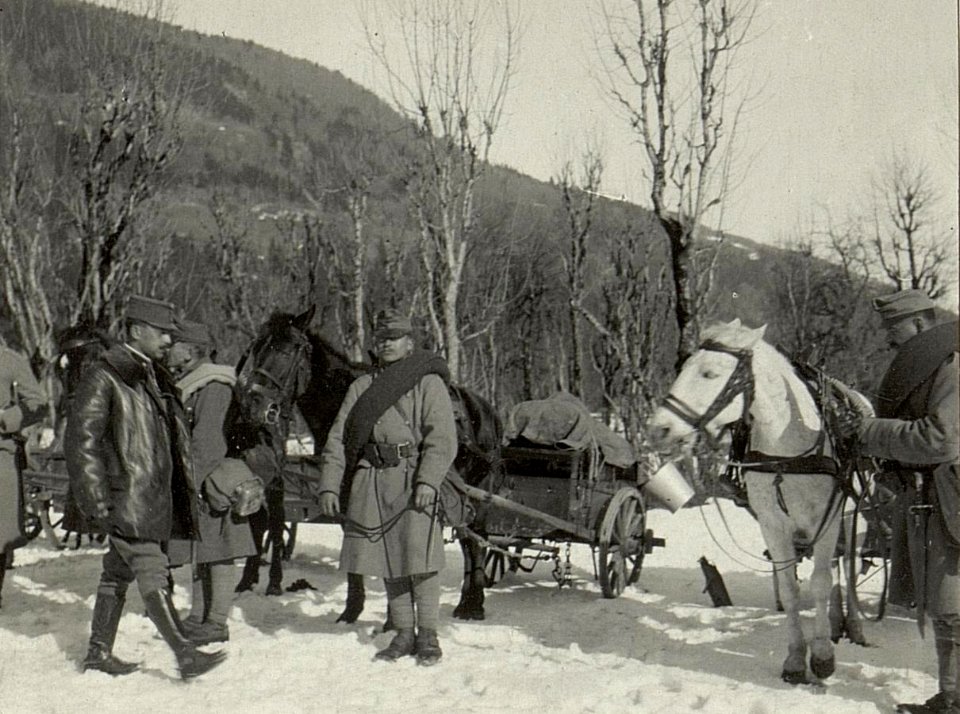 Kanonen Munitionskolonne I.G.6. Visitierung vor dem Abmarsche am 21. Februar 1916. (BildID 15469341)