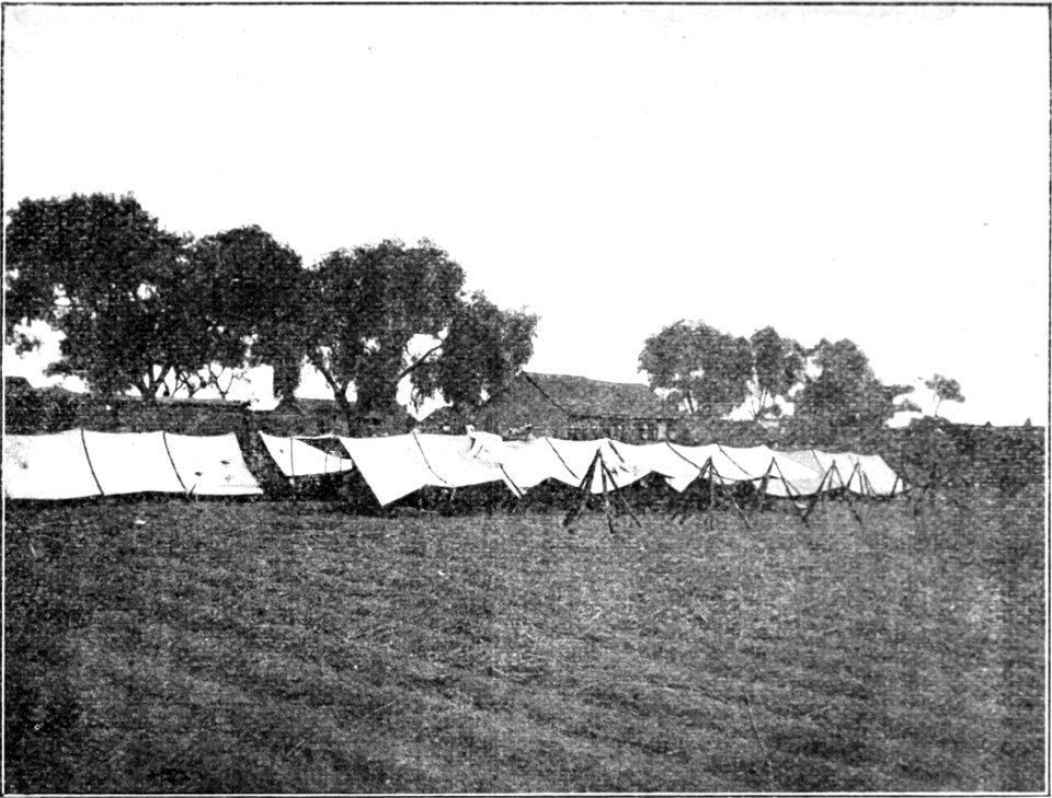 Kann - Journal d'un correspondant de guerre en Extrême-Orient - p245