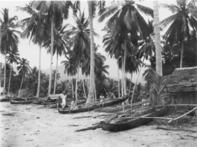 Kanoter vid stranden. Sulawesi. Indonesien - SMVK - 000294