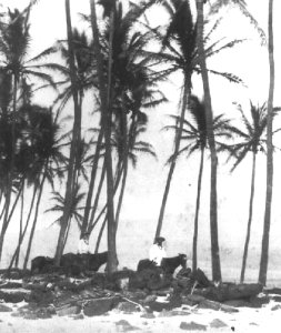 Kalakaua at Heiau o Keohoʻolu, North Kona, Hawaii