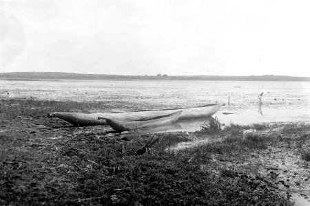 Kanoter av urholkade trädstammar. Se Waler Kaudern, På Madagaskar, Sthlm 1913, bild 92 - SMVK - 001700