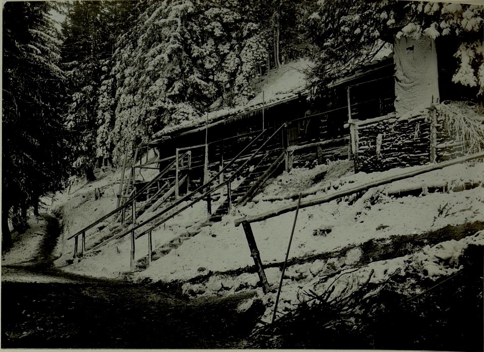 Kameelrücken Baonskmdo.Ldst. 30 (BildID 15481884)