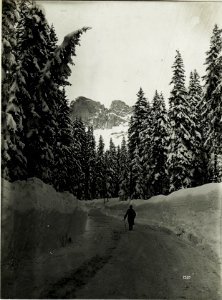 Karerseestraße im Jänner 1917. (BildID 15588148)