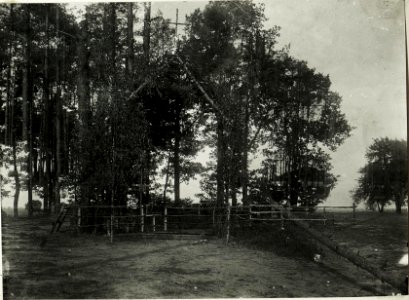 Kapelle des k.u.k. Dragonerregiments im Wald westlich Rozensk. (BildID 15589761)