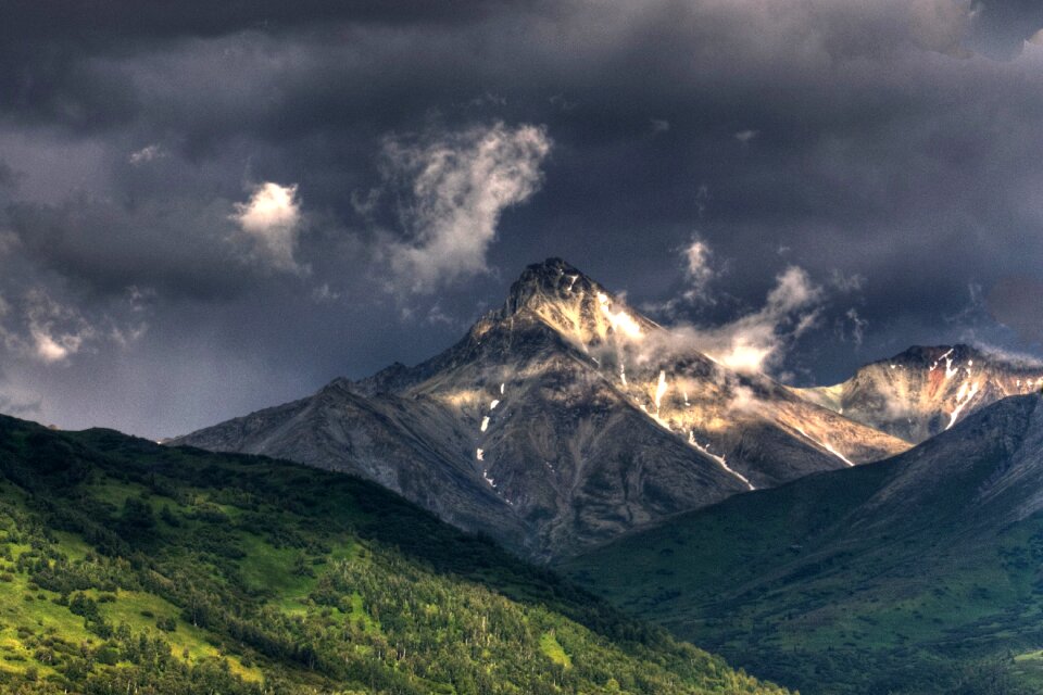 Green scenic wilderness