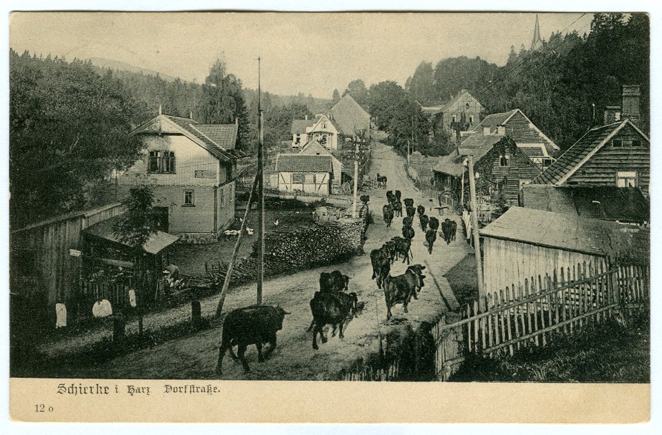 Karl F. Wunder PC 0012o Schierke i. Harz. Dorfstraße. Ansichtsseite