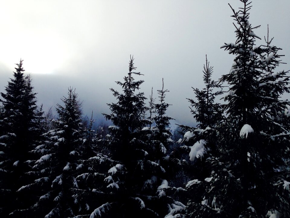 Snow winter sky