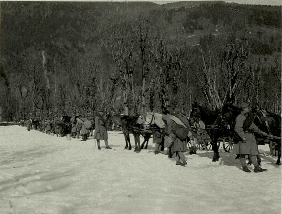 Kanonen Munitionskolonne I.G.6. Visitierung vor dem Abmarsche am 21. Februar 1916. (BildID 15469348)
