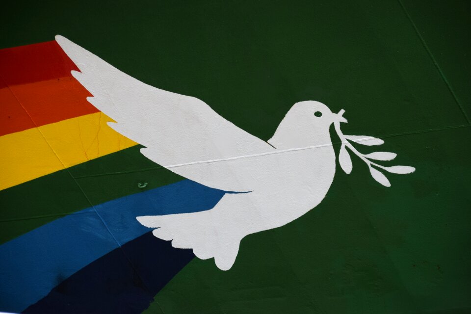 Dove bilbao green hope