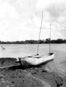 Kanoter med tvärvägg i lagun. Champerico. Guatemala - SMVK - 004534