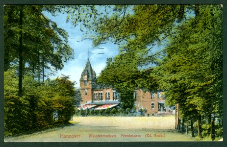 Karl F. Wunder PC 1119 Hannover Waldwirtschaft Pferdeturm (Ed. Bock.) Ansichtsseite, druckcoloriert