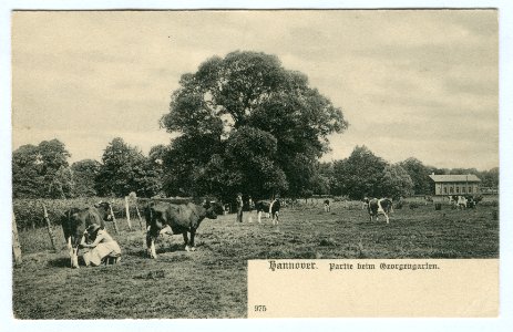 Karl F. Wunder PC 0975 Hannover. Partie beim Georgengarten