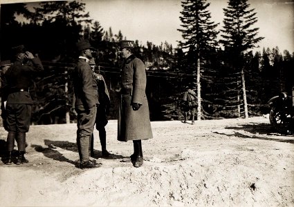 Karl I. während seines Besuchs in Südtirol am 26.6.1917 (BildID 15565765)