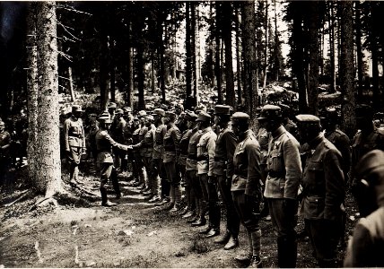 Karl I. während seines Besuchs in Südtirol am 26.6.1917 (BildID 15565793)