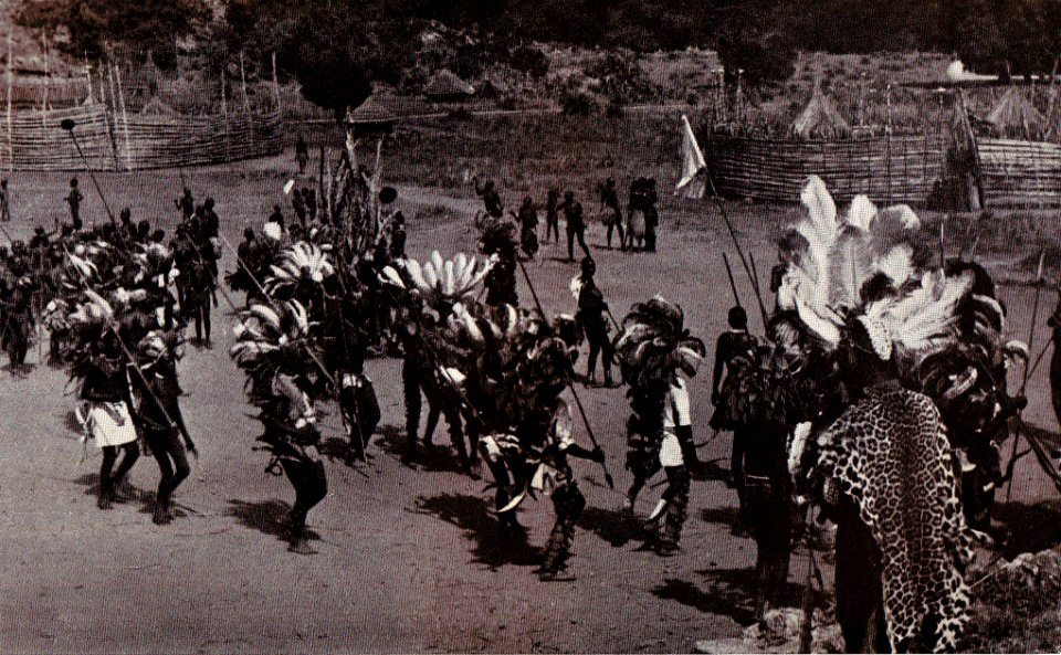 Karl Schwabe, 3 x Afrika (144)