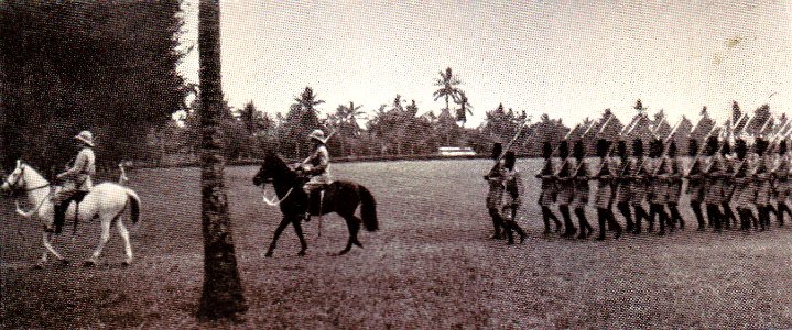 Karl Schwabe, 3 x Afrika (177a)