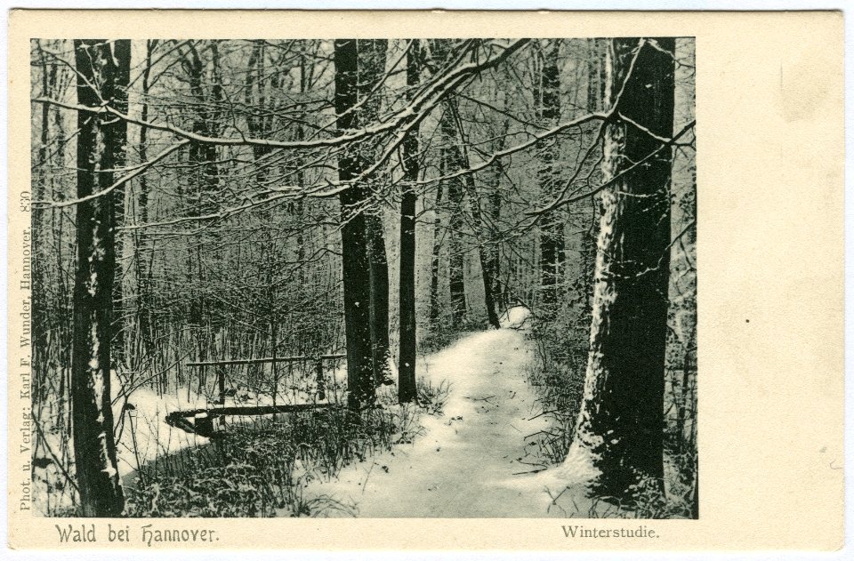 Karl F. Wunder PC 0830 Wald bei Hannover. Winterstudie