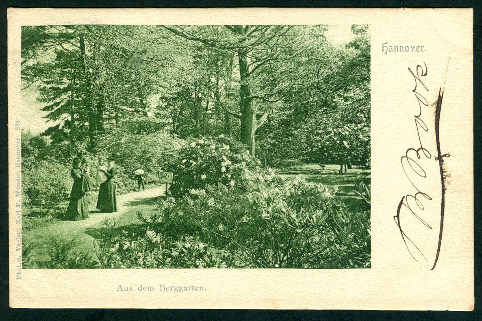 Karl F. Wunder PC 0838. Hannover. Aus dem Berggarten. Bildseite