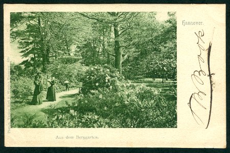 Karl F. Wunder PC 0838. Hannover. Aus dem Berggarten. Bildseite