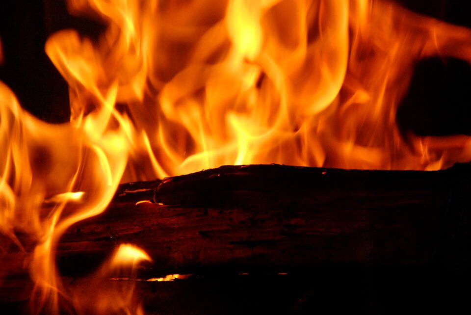 Inflamed logs chocolate yule log