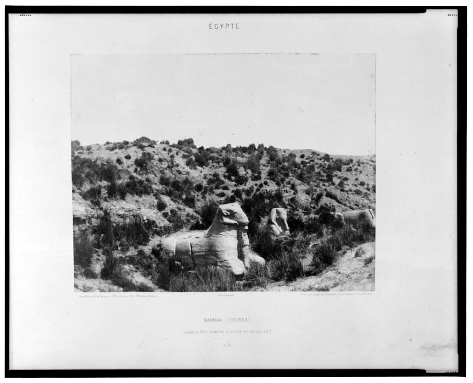 Karnak (Thèbes) - sphinx a tête humaine et a tête de bélier, en Y - Félix Teynard. LCCN2001695311