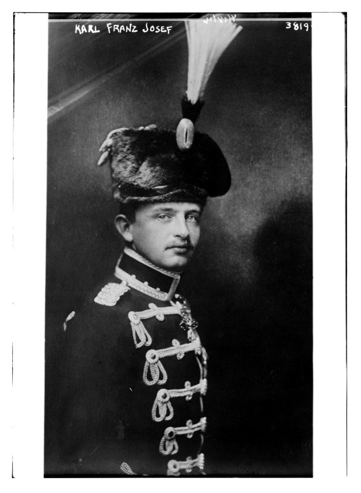 Karl Franz Josef LCCN2014701435