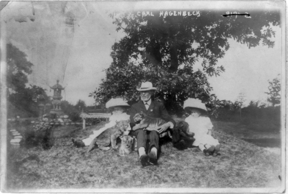 Karl Hagenbeck, full-length portrait, seated on ground, with two girls, chimpanzee, and three lion and tiger cubs LCCN90709148