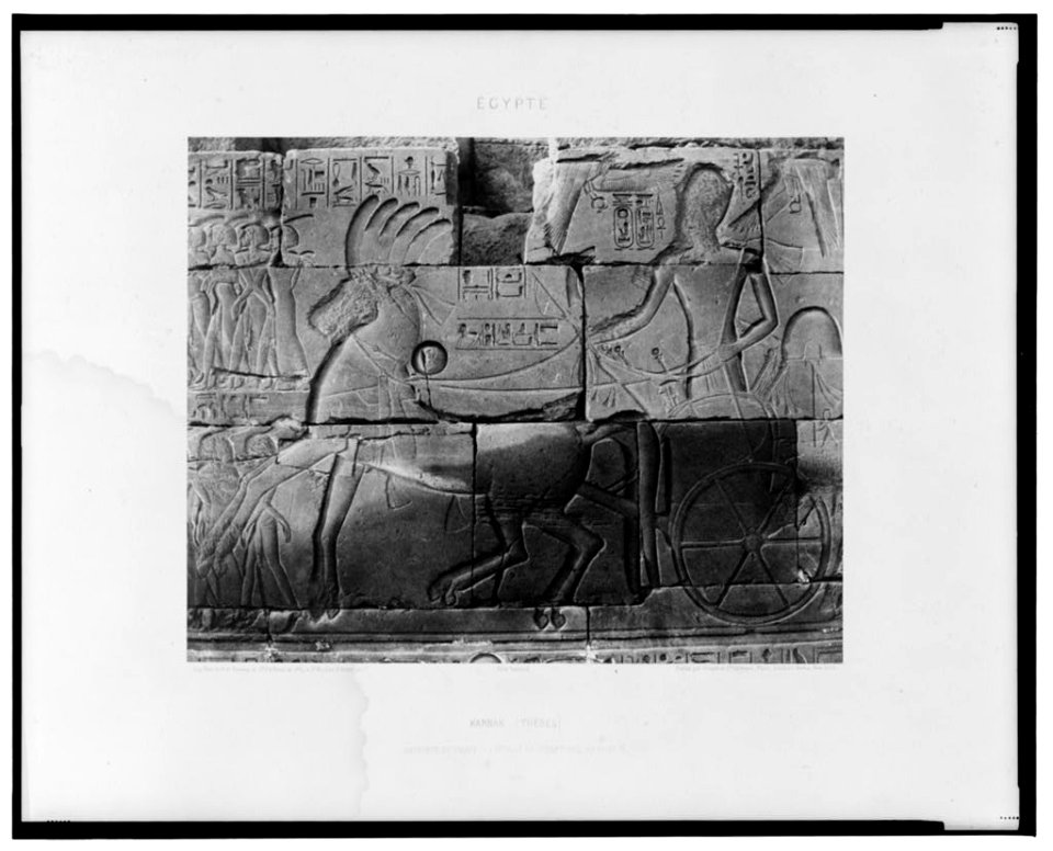 Karnak (Thèbes) - enceinte du palais - détails de sculptures, au point N - Félix Teynard. LCCN2001695294