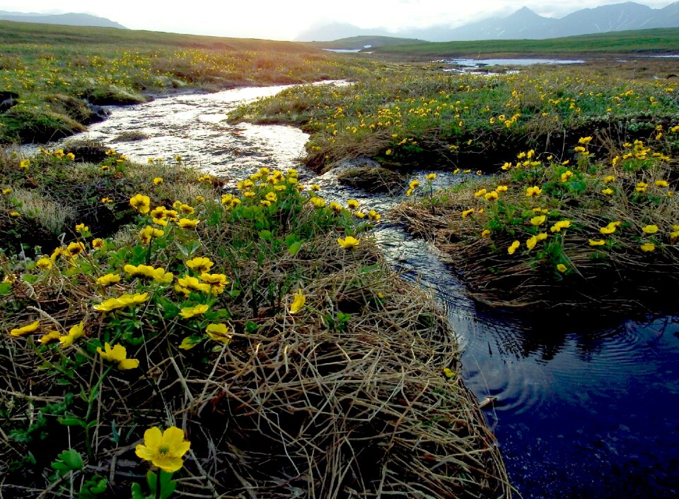 Evening mountains nature